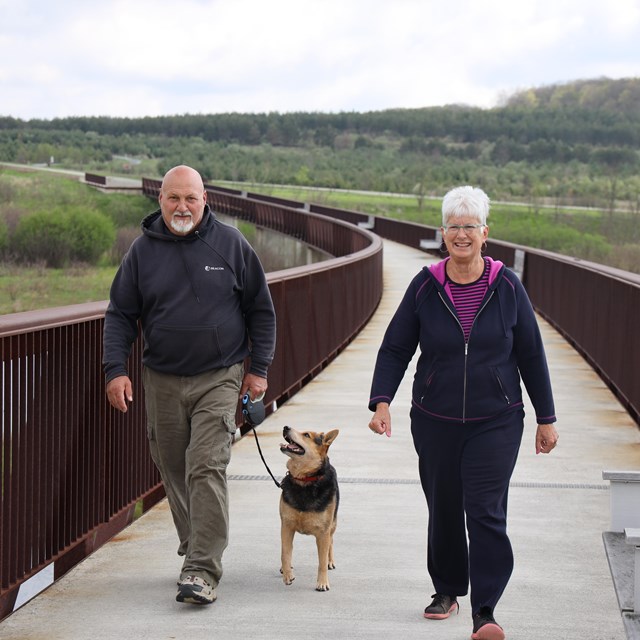Visitor walking a dog on the wetlands bridge.