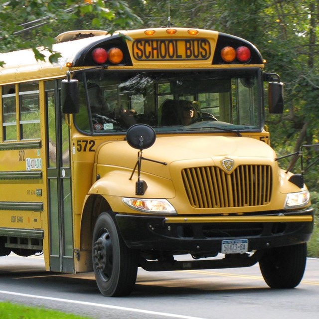 Image of school bus