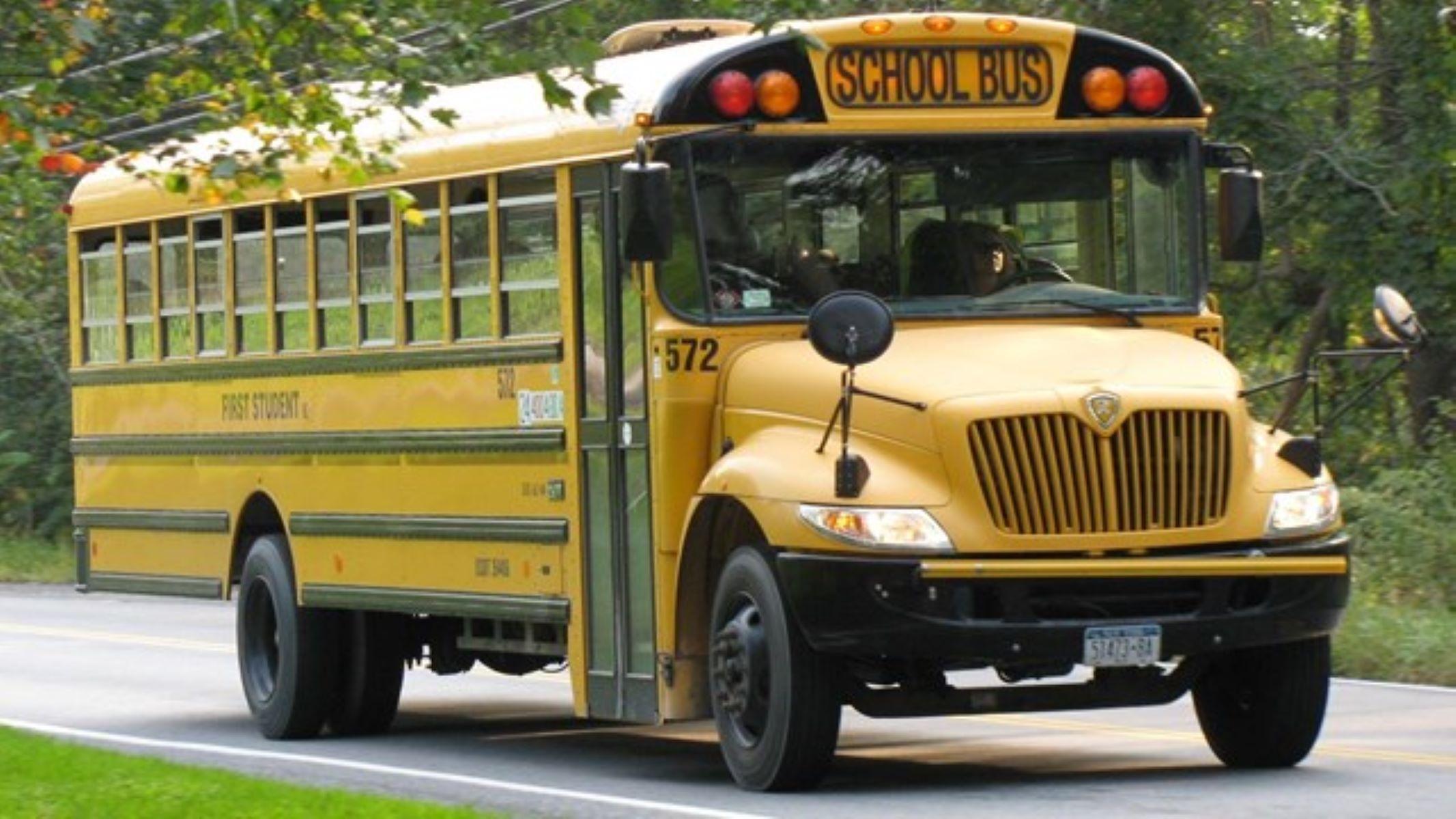 A yellow school bus driving along a road surrounded by trees and a clear blue sky.