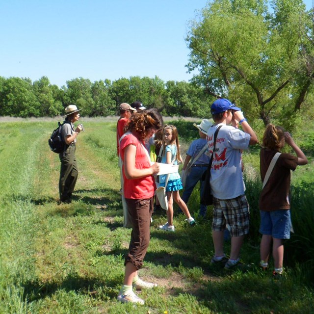 Children looking through binoculars on a nature trail.