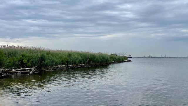 Fort McHenry Wetlands