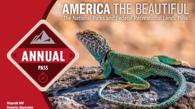 An image of a annual Interagency pass for National Park access.