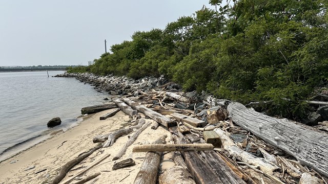 Fort McHenry Wetlands