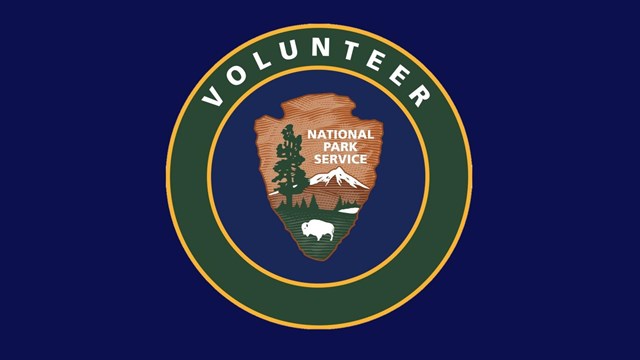 NPS Volunteer logo on blue field