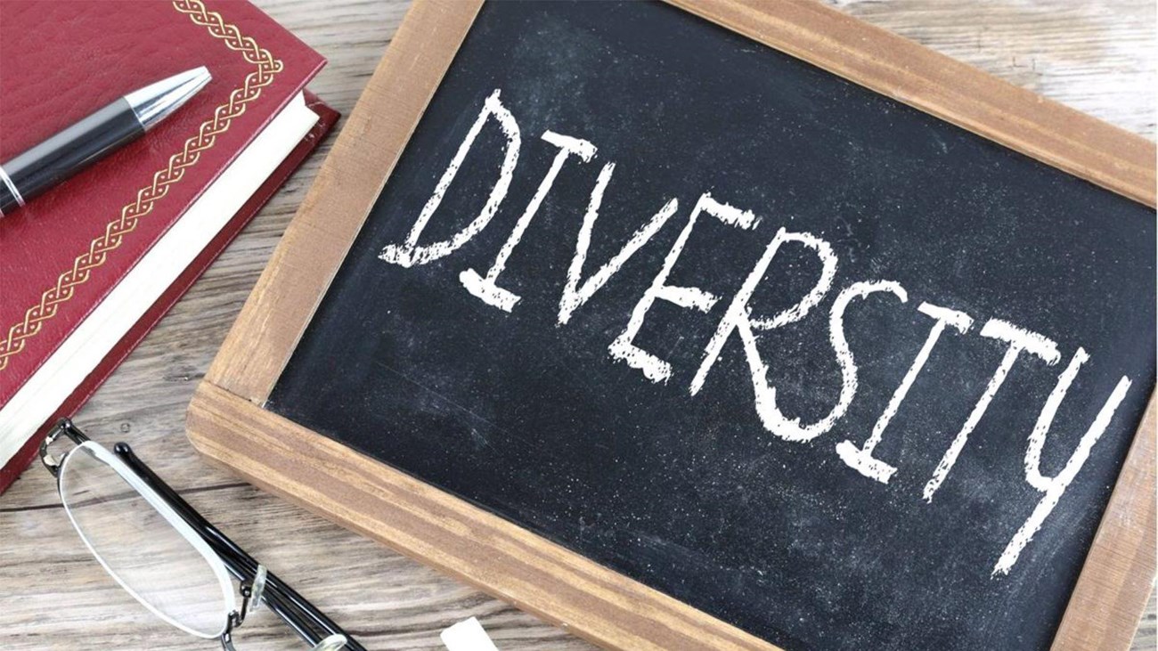 A image of a chalk board with the word "diversity" written on it, along with a notebook and glasses.
