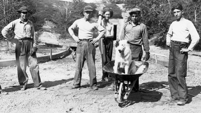 A black and white image of a bunch of men in work clothes with a dog in a wheelbarrow.