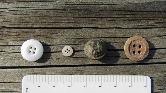 Line of four buttons made of ceramic, shell, brass, and bone found at the Workers' Village.