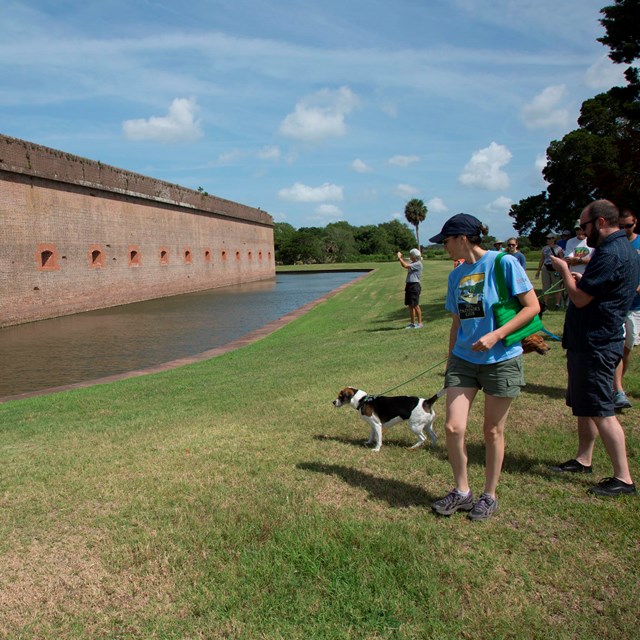 Group of people and dogs walking along the fort moat. 