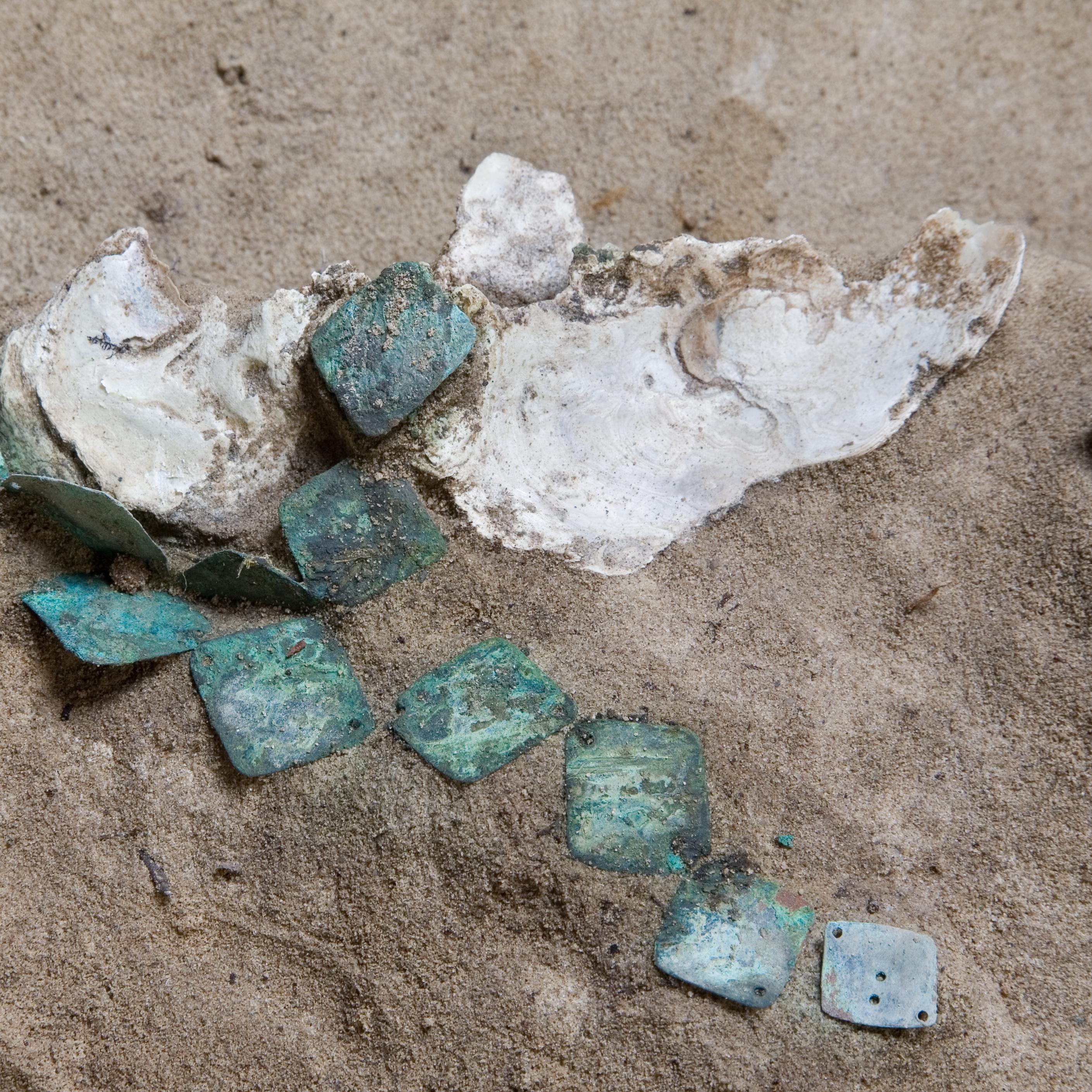 Several oxidized blue-grey copper square fragments in wet sand with seashells around them