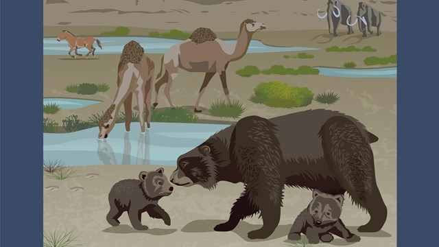 artwork of prehistoric plants and animals