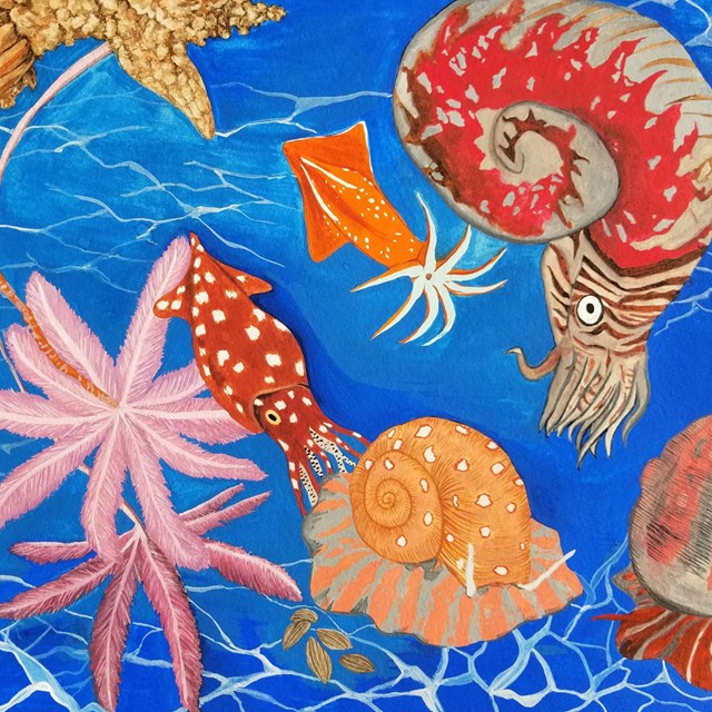 colorful drawing of prehistoric sea animals