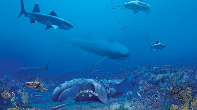 mural of prehistoric sharks