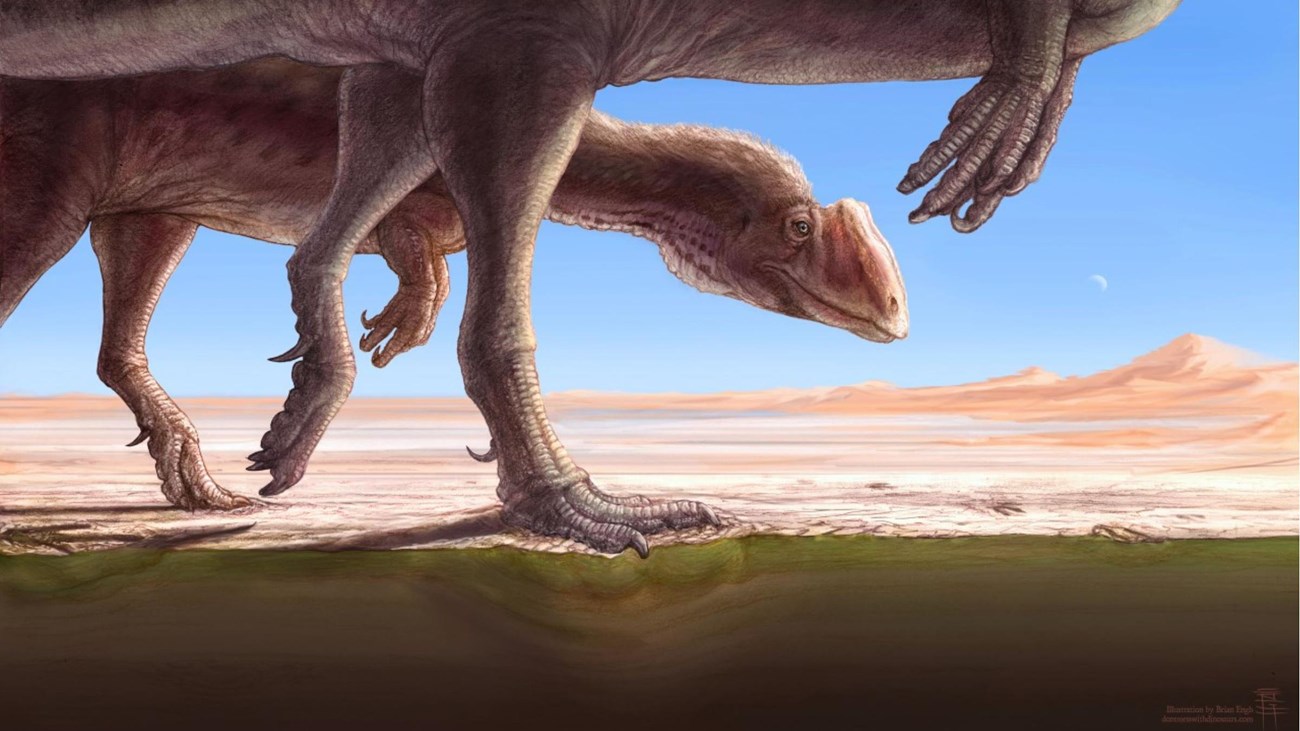 painting of two dinosaurs walking across a dry lake bed