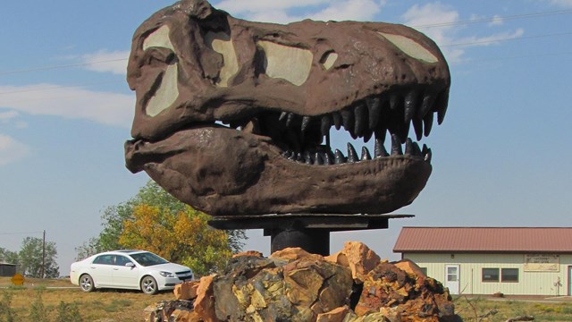 photo of a dinosaur skull sculpture on display outdoors