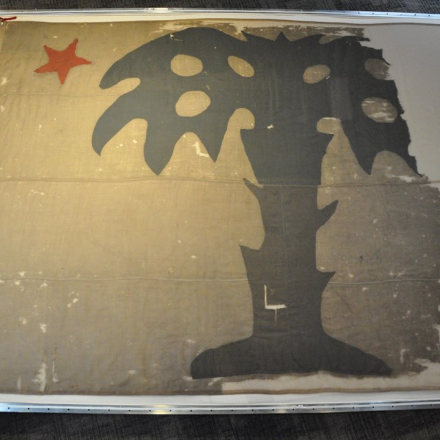 A white flag with a palmetto tree in the center and a star at the top left.