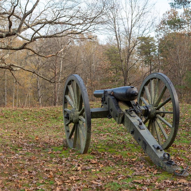 A cannon pointed into an open field.