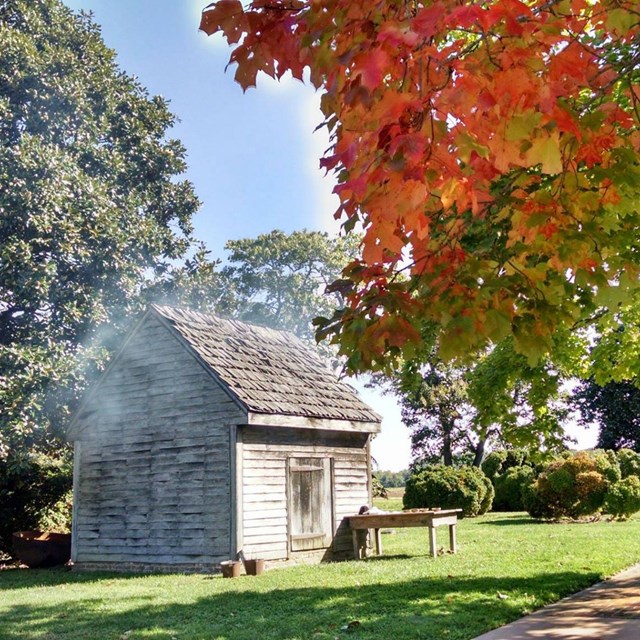 Smoke and fall leaves line the photo of the smokehouse on the plantation.  