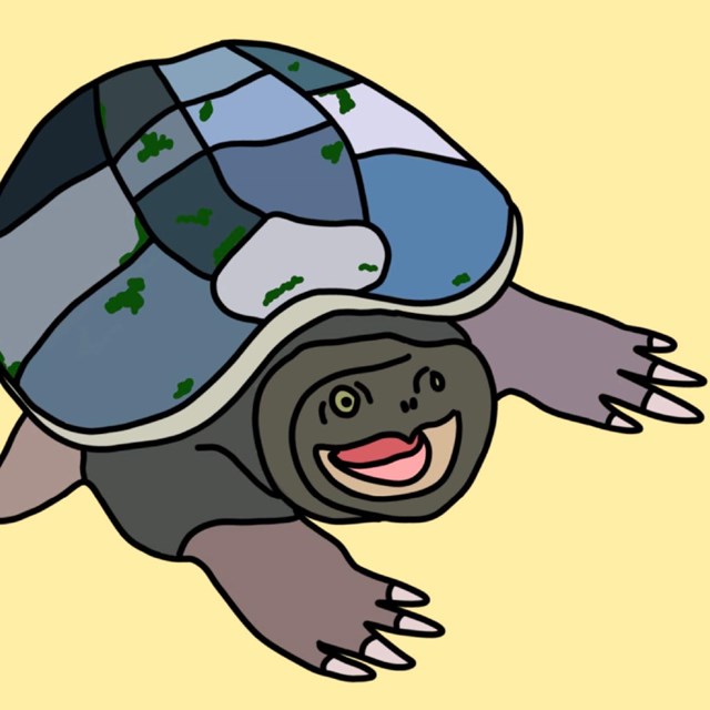 Drawing of snapping turtle