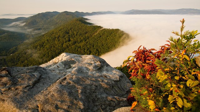 Cumberland Gap Appalachian Highlands Photo by Scott Teodorski