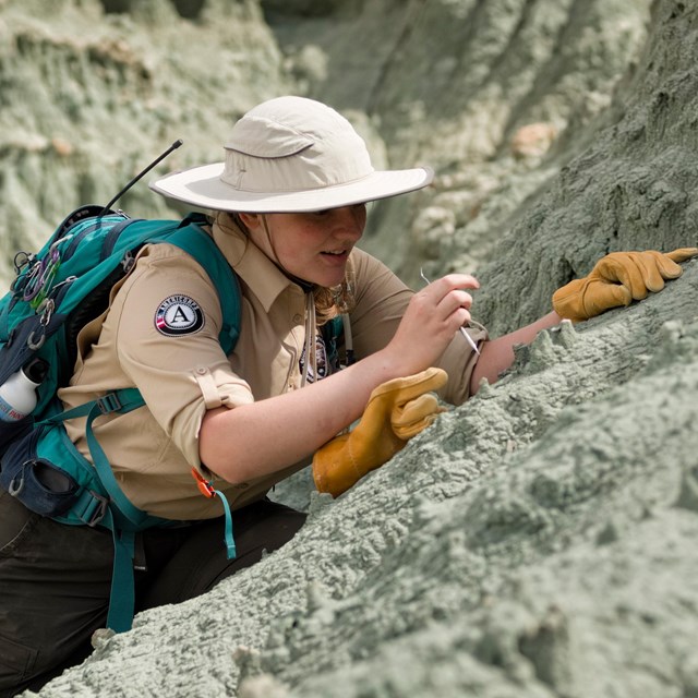 paleontologist examining fossils