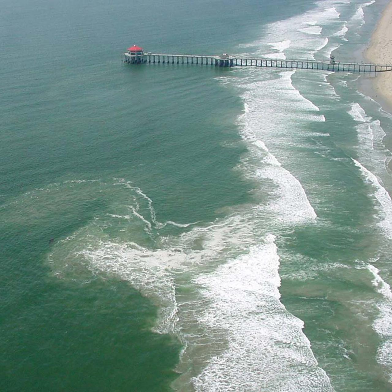 breaking waves and rip current