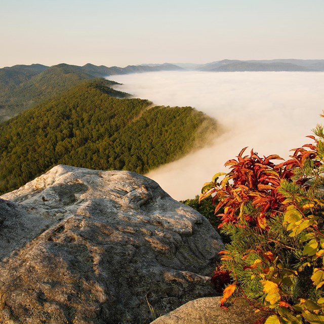 Cumberland Gap Appalachian Highlands Photo by Scott Teodorski