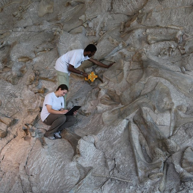 geologists on dinosaur quarry wall