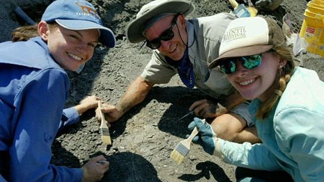 three people working on fossil dig