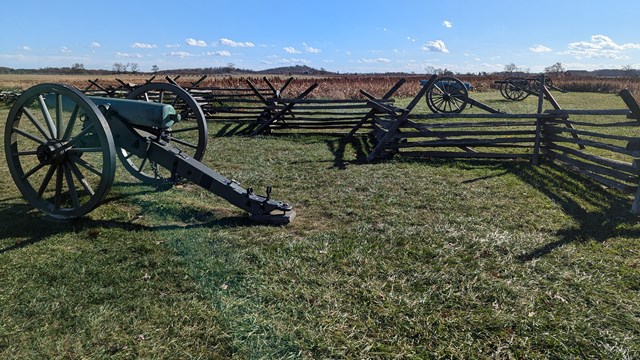 Cannons along a fence