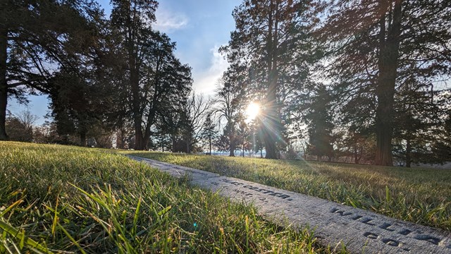 Sun shines through trees over the graves of soldiers