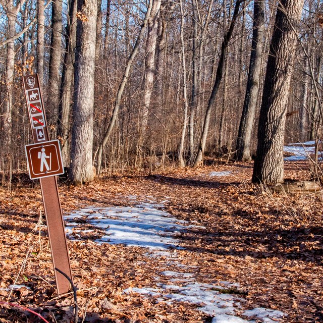 A horseback riding trail winds through the woods. There is little bit of snow on the ground.