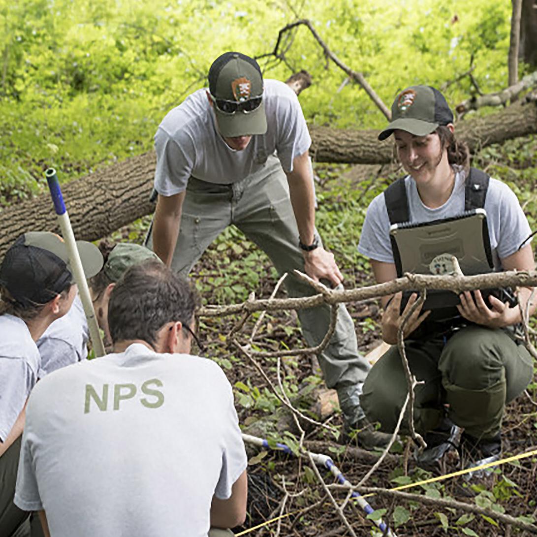 A group of 5 NPS officials observing plant life.