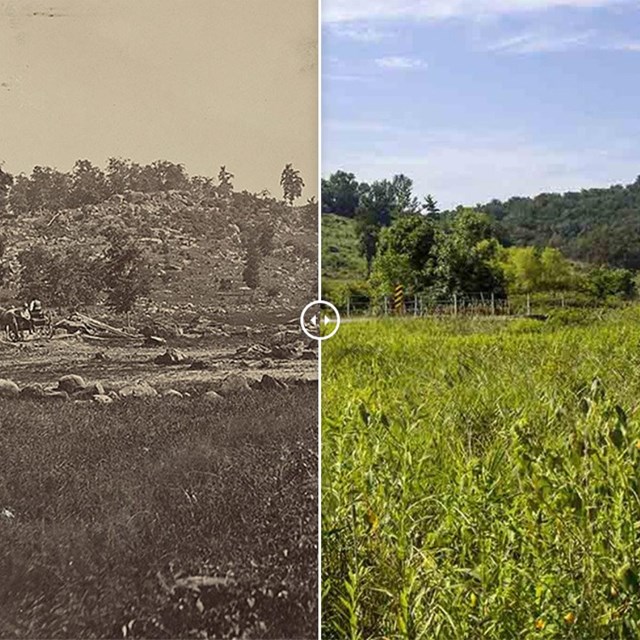 Split picture of Little Round Top. Left side is black and white, right side is color of the hill.