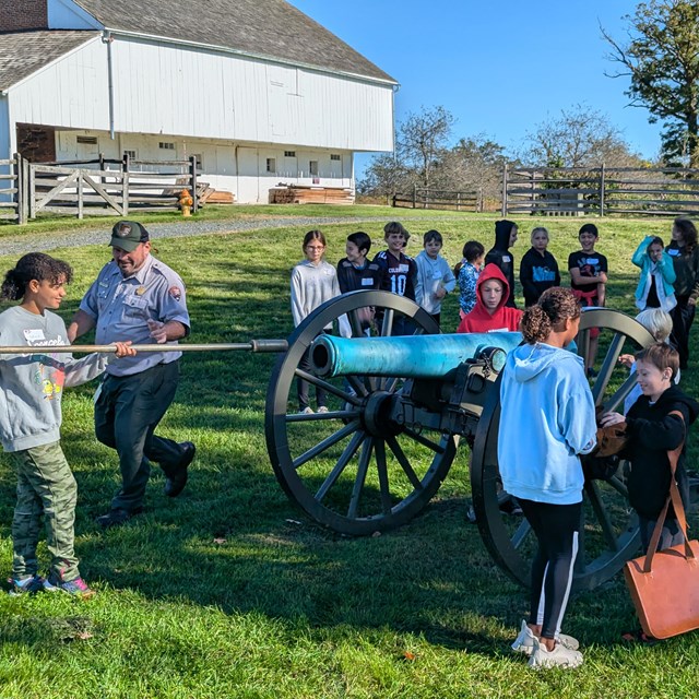 A tree in a field with cornfields and mountains behind it.