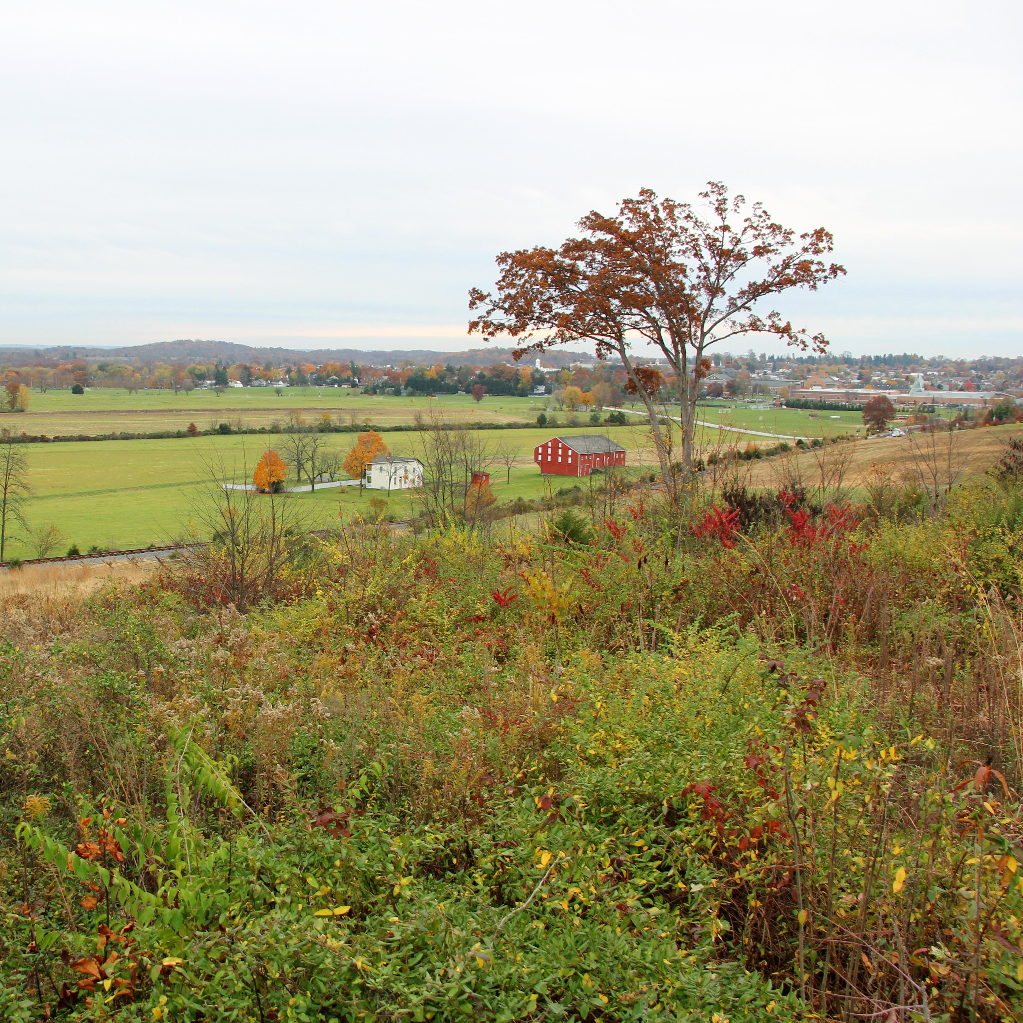 Flowers and shrubbery with the Gettysburg landscape in background.