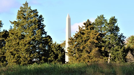 White obelisk, surrounded by trees, rising above a grassy slope 