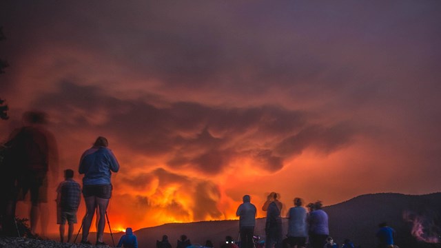 People stand on a beach and look at a wildfire. 