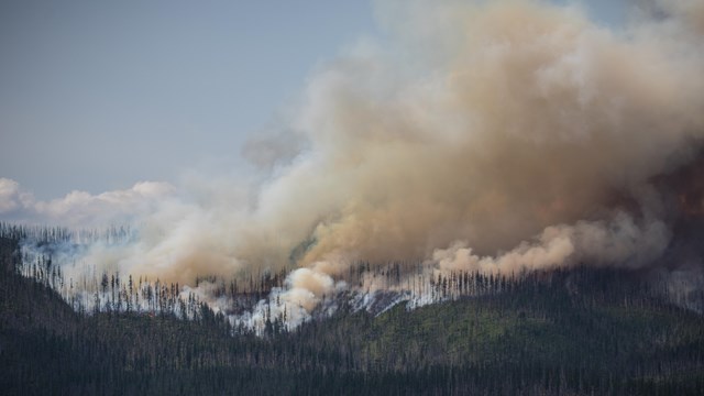 Smoke rises from a forested hillside