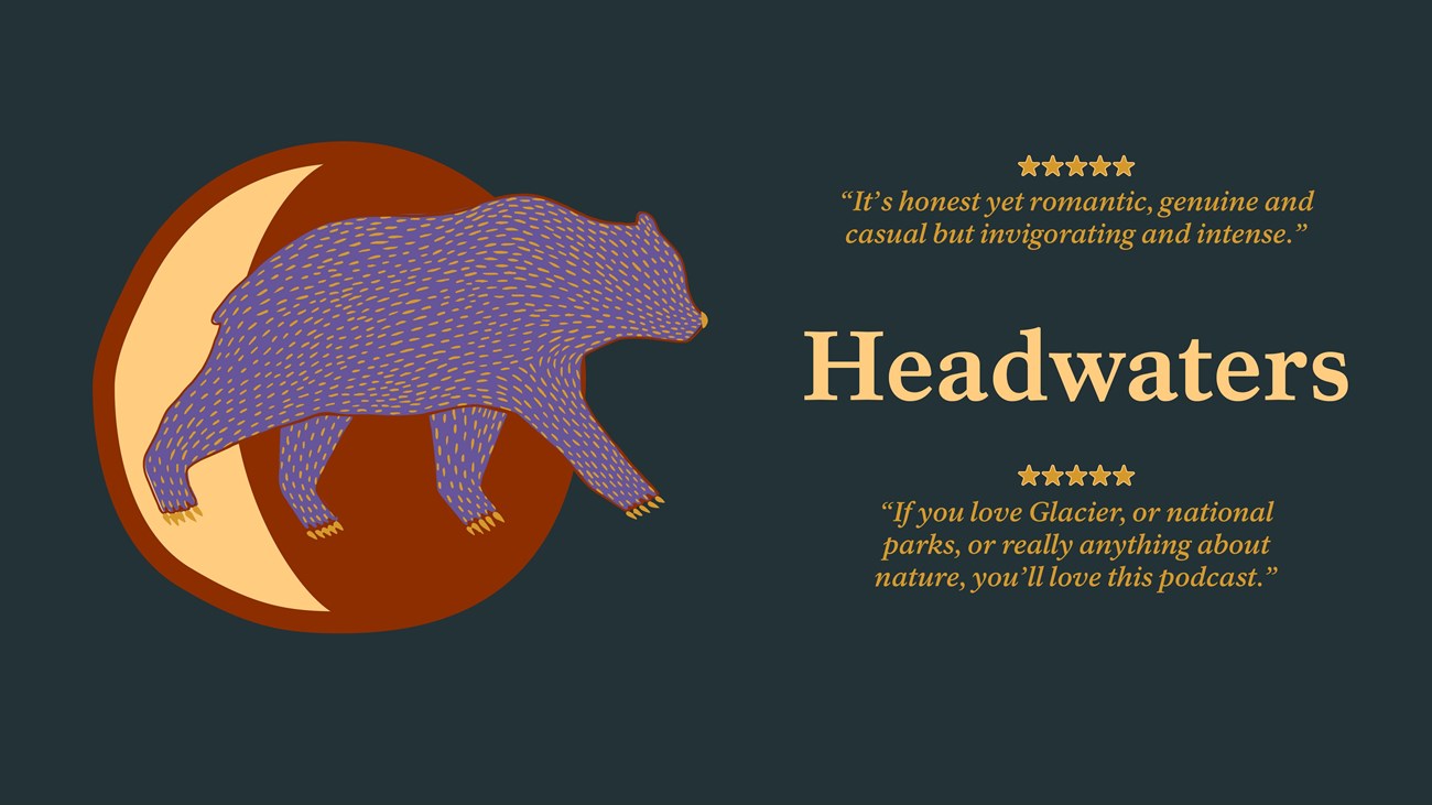 illustrated bear and text of reviews of the park's podcast with five stars