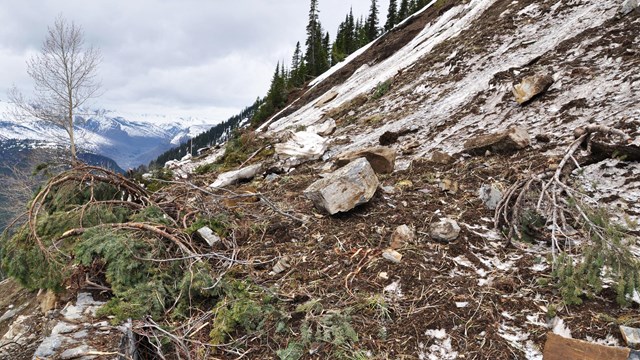 Pile of debris from rockslide pours over road retaining wall