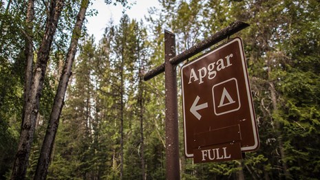 A large campground sign that says, Apgar Full, points into a forest. 