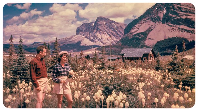 Two people walk through a field of white flowers with mountains behind.