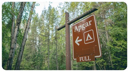 A campground sign that says full. Trees in the background. 