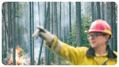 A firefighter points past a forest fire