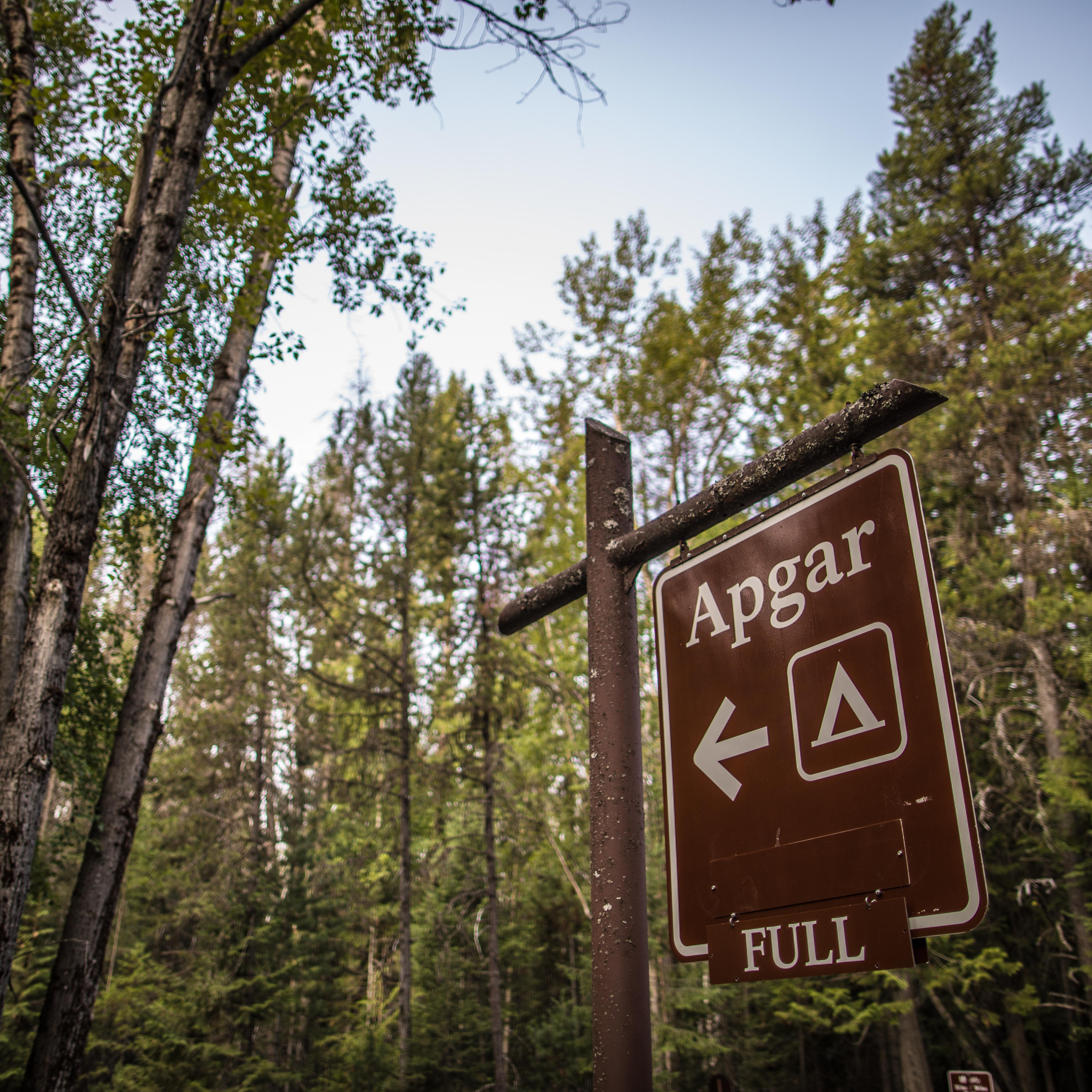 A brown sign with white text shows the image of a tent indicating the entrance to a campground.