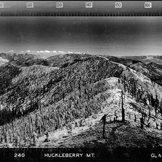 Panoramic black and white image of a mountainous landscape, taken from a forested ridge.