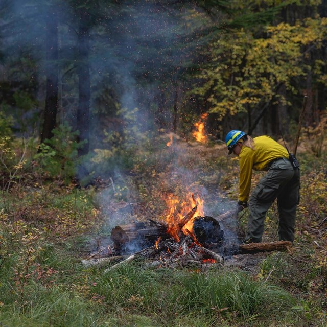 A person in yellow and green fire gear uses a shovel to work with a small pile of burning wood.