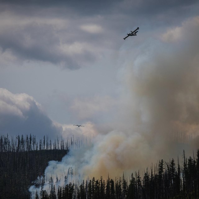 Smoke rises above a forested hillside, with scooper planes circling above.