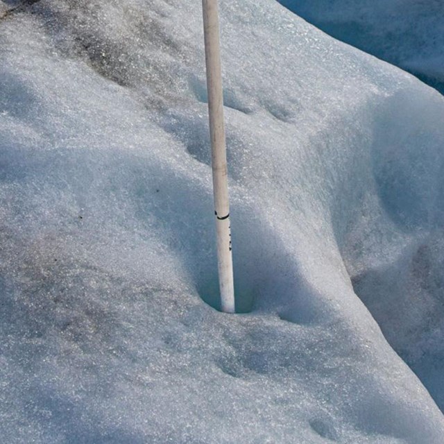 A plastic stake standing upright in a patch of ice on a glacier 