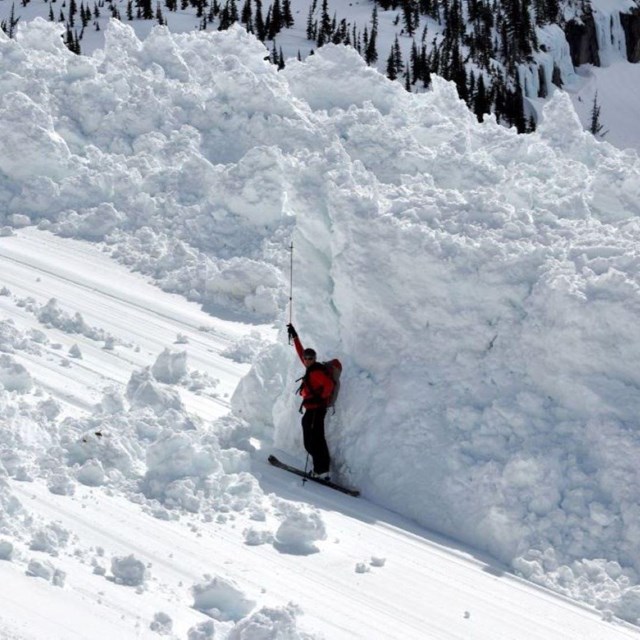 A person in a winter coat on skis raises a pole up in the air, dwarfed by a massive snow deposit. 